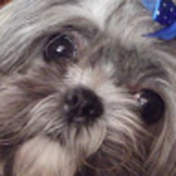 samroxie03